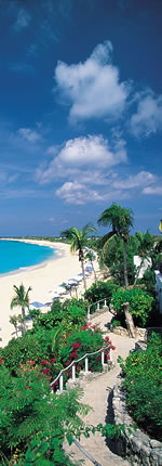 Island view
